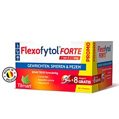 Flexofytol Forte Promo 84 + 8 Tabletten