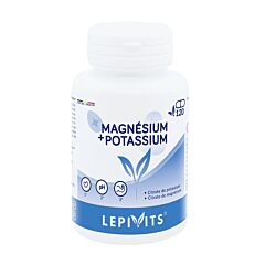 Lepivits Magnesium + Kalium 120 Capsules