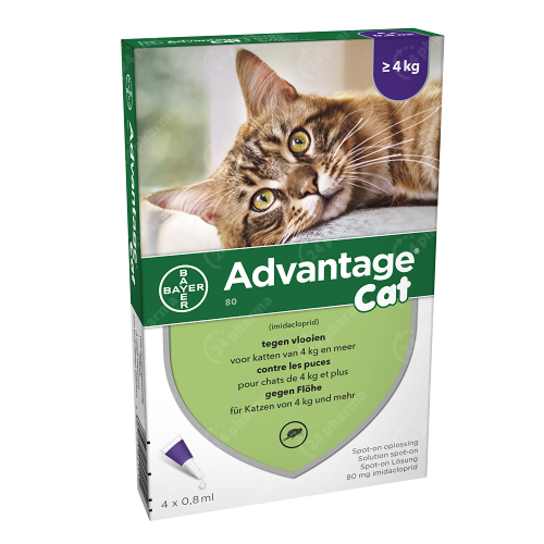 Advantage Kat 80 Spot-On Anti-Vlooien >4kg 4x0,8ml online Bestellen /