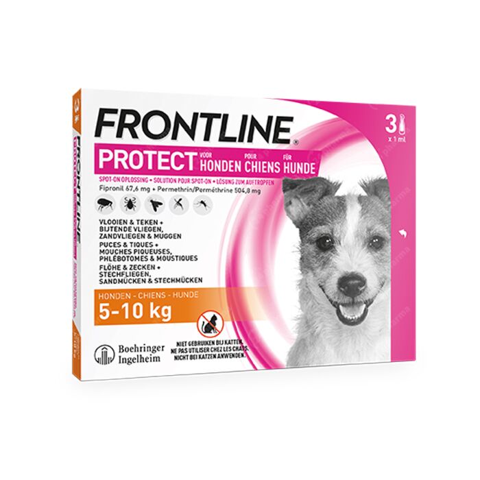 Op grote schaal Per Beroep Frontline Protect - Anti-Vlooien/ Teken Spot-On Oplossing Voor Honden -  5-10kg - 3 Pipetten online Bestellen / Kopen