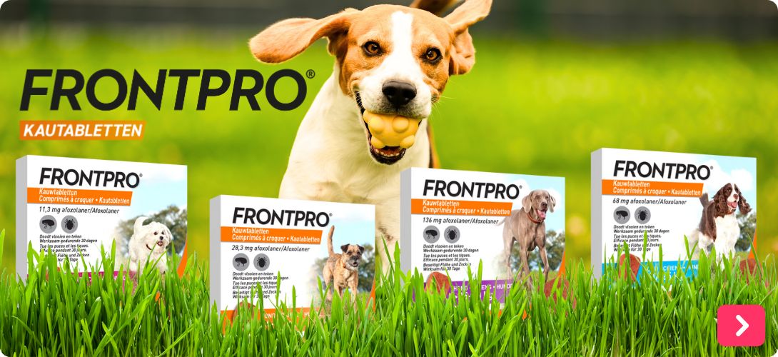 Frontpro